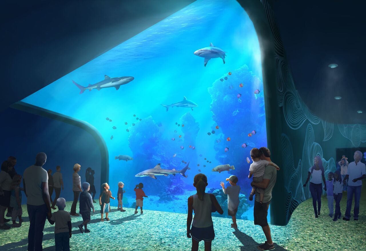 Renderings of the St. Louis Aquarium at St. Louis Union Station